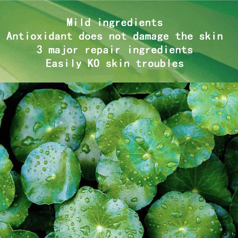 Mascarillas Faciales Nocturnas Centella & Colágeno (30 pcs) | Ilumina, Reafirma e Hidrata Profundamente